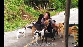 家在潍坊搞笑视频大全,搞笑视频大盘点