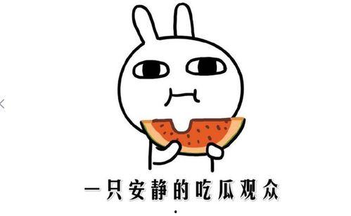 今年的吃瓜事件,笑料百出,揭秘娱乐圈风云