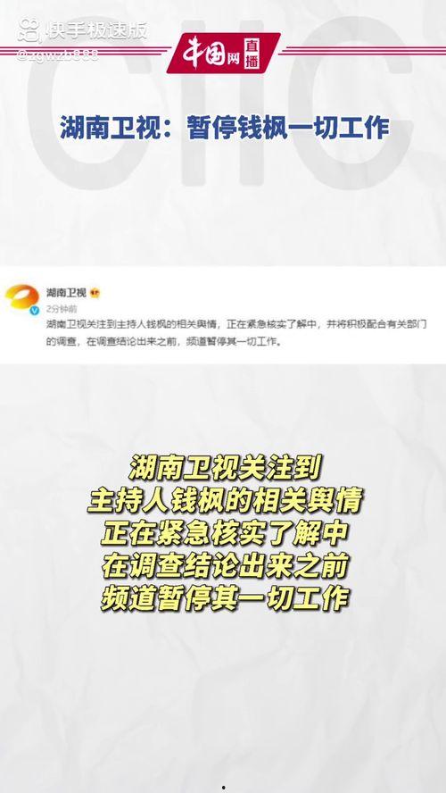 娱乐圈吃瓜爆料文案模版